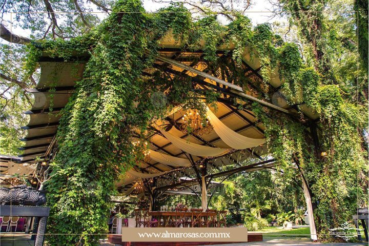 Velaria principal de Hacienda Casasano, rodeada de exhiberantes e imponentes árboles, se sitúa como un escenario impresionante para las bodas más exclusivas en la ciudad de Cuautla,Morelos.