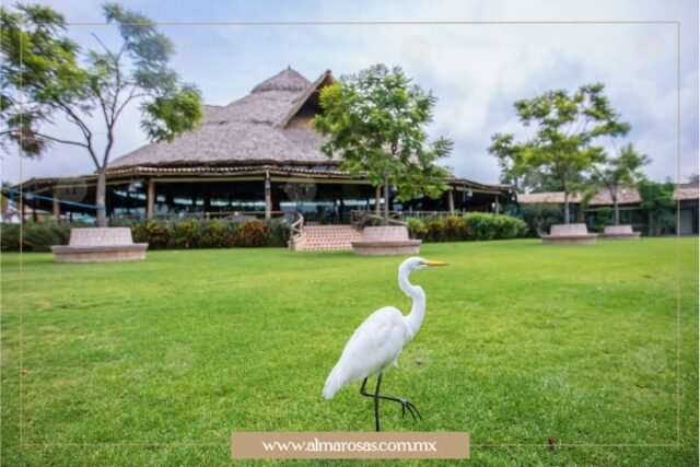 Palapa central en Jardín de Cielo, pertenece al área de restaurante con vista increíble al lago y al jardín.