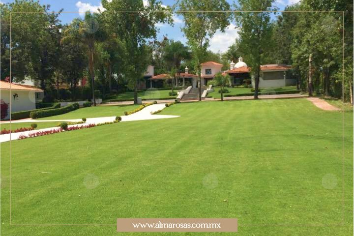 Jardín principal en Tres Marías Puebla, súper icónico por sus famosos eventos; se convierte en la extensión perfecta a su explanada.