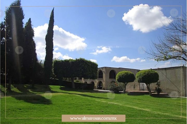 Jardín alternativo en Hotel El Cristo, al lado de la explanada principal, con suficiente vegetación para la celebración de eventos a partir de 300 personas.